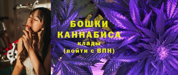 стаф Верхний Тагил