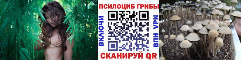 Псилоцибиновые грибы MAGIC MUSHROOMS Ростов